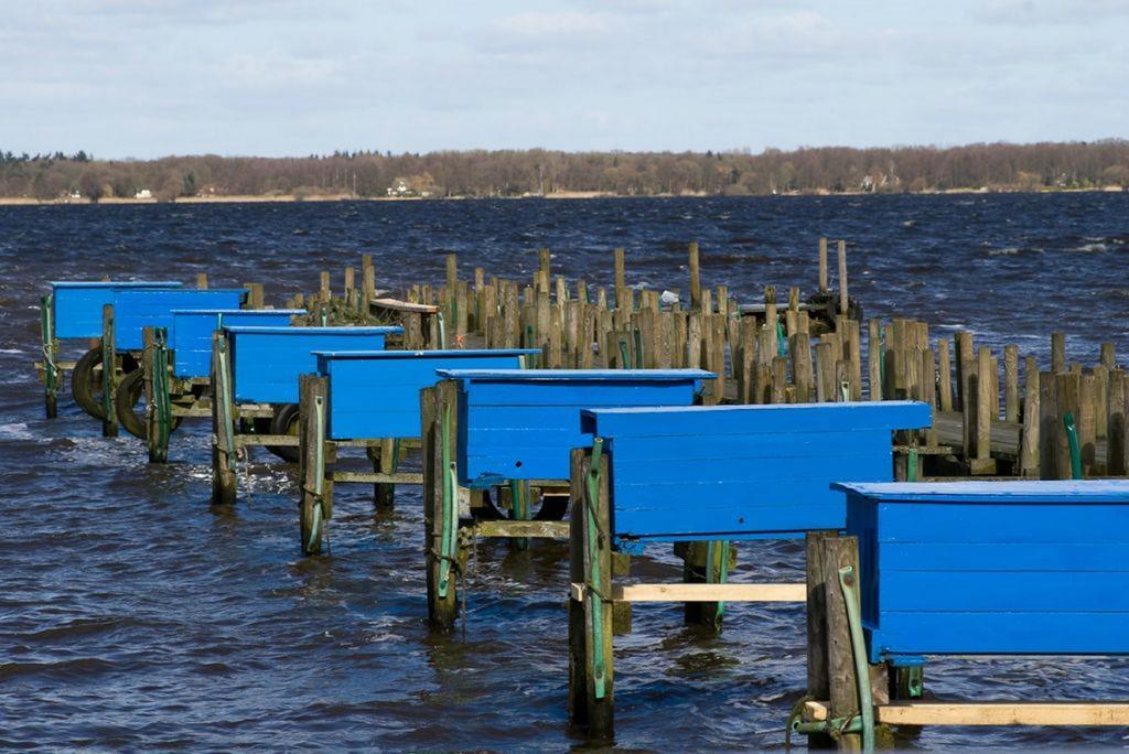 HansenS Haus am Meer Bad Zwischenahn Buitenkant foto