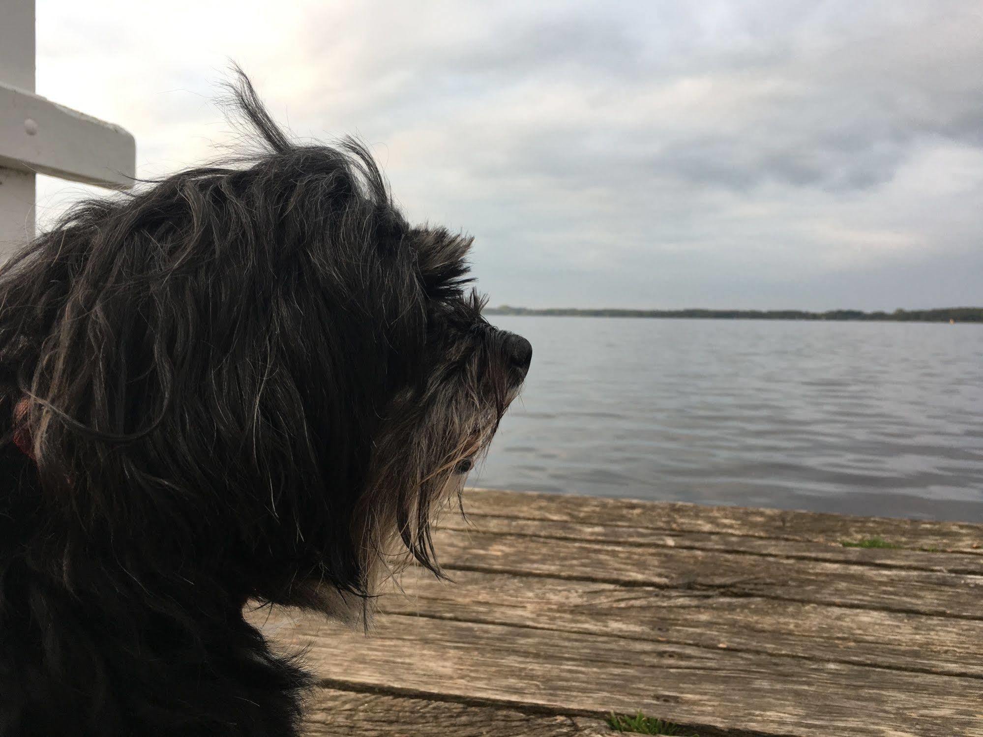 HansenS Haus am Meer Bad Zwischenahn Buitenkant foto